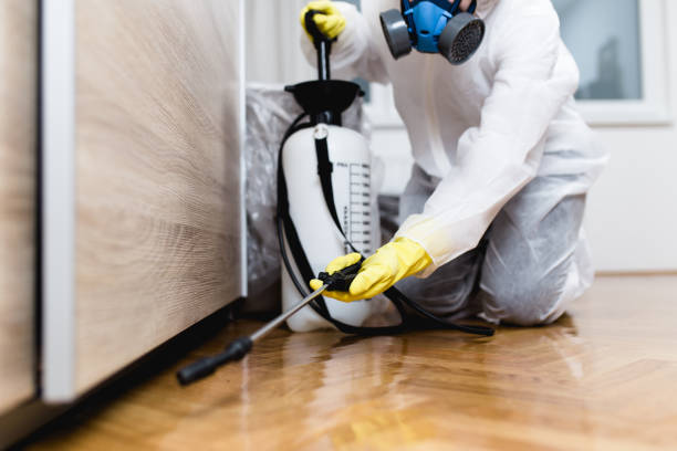 Best Affordable Pest Control Services  in Newberry, SC