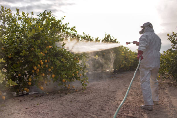 Reliable Newberry, SC Pest Control Solutions