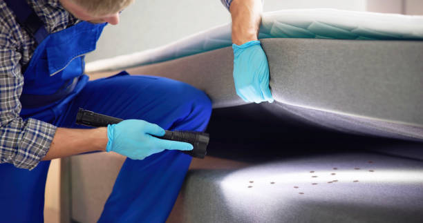 Best Pest Control Near Me  in Newberry, SC