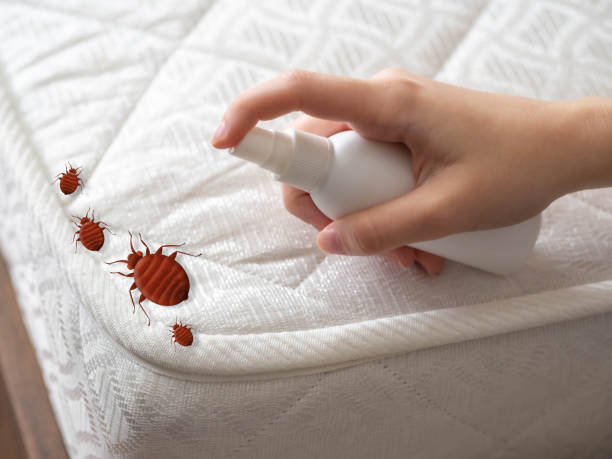 Best Flea Control Services  in Newberry, SC