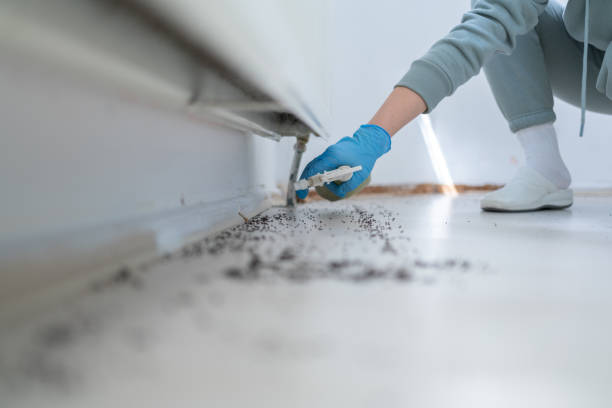 Best Affordable Pest Control Services  in Newberry, SC